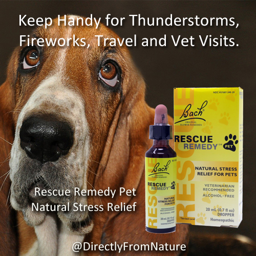 Rescue Remedy Pet 4th of July version 004b