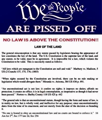 Constitution 1