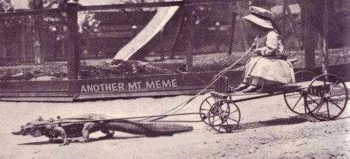 287730102_5567236649973227_2282799025261141568_n