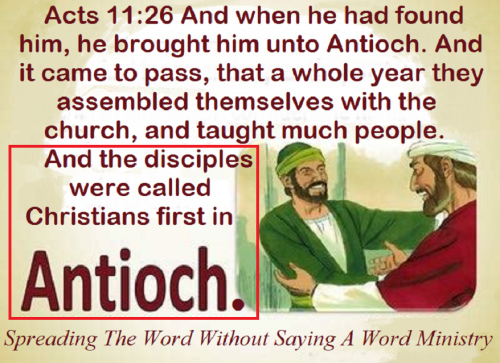 284254603_546056153776582_1381578255209492731_n (1)