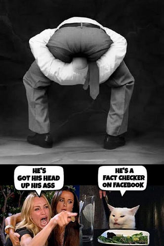 factcheck67