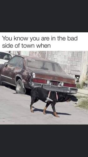 FB_IMG_1656524958151