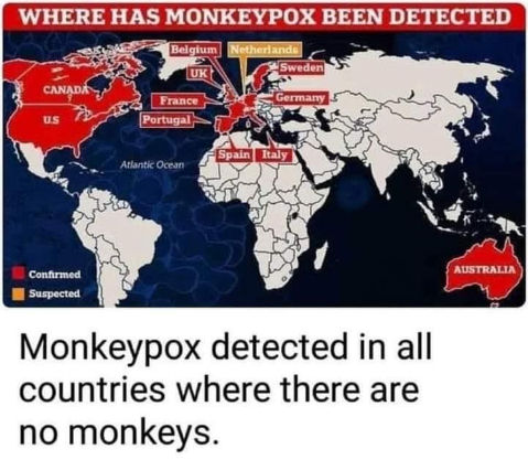 monkeypox23