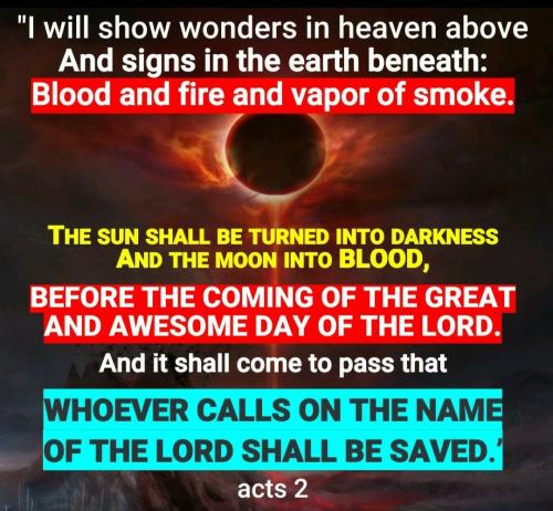 Screenshot_2022-06-27-14-23-52-157_com.google.android.apps.photos~2