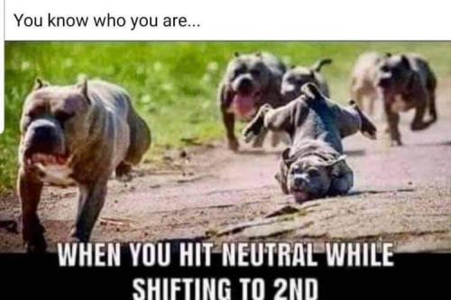 FB_IMG_1654528581875