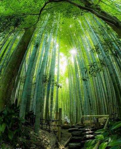 289323565_548979246856551_3043122506363213377_n