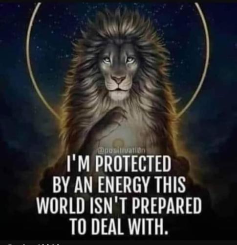 FB_IMG_1655053474141