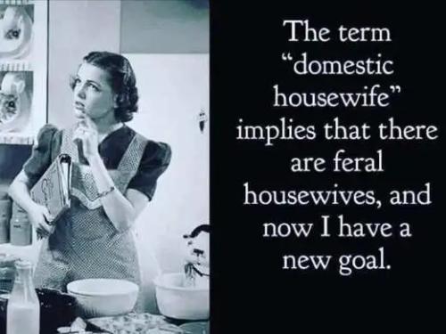 tumblr_cc6f9737c61d5810bf1df61c40742ddf_a7fbc998_540