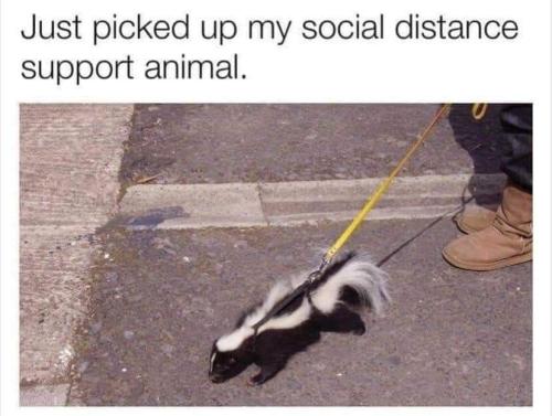 FB_IMG_1654042292831