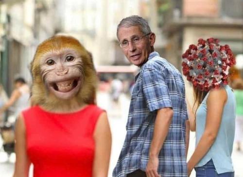 tumblr_d310e040e623a64e8e6c2dbc62eb7e07_b1449c45_1280