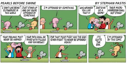 FB_IMG_1655049346810