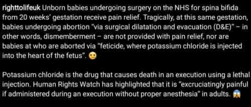 tumblr_419924c6894f7b7e4aa8efa0ab9fc55a_9ca16a5c_640