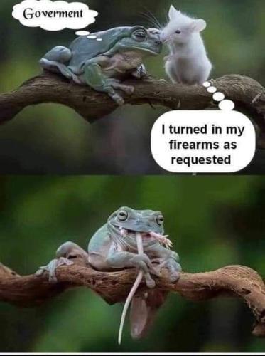 FB_IMG_1655053980689