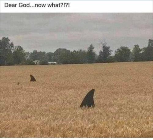 285486542_580412346781772_7815430766673005871_n