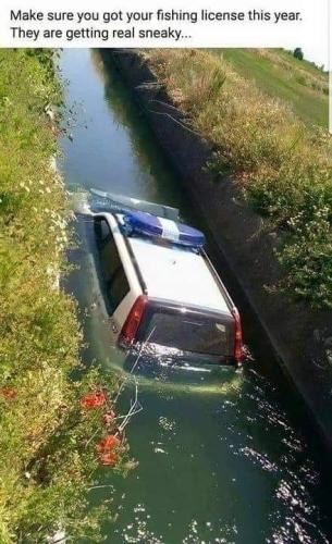 FB_IMG_1654178034460