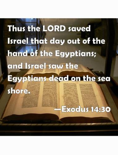 Screenshot_20220611-153323_Gallery