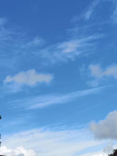 received_759014995454700