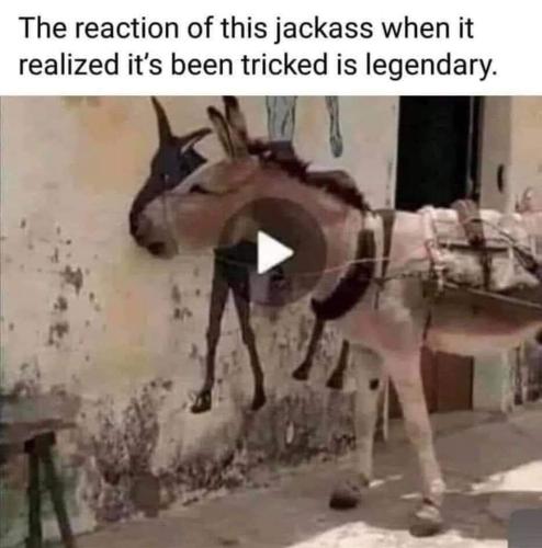 FB_IMG_1655997177248