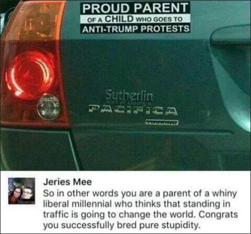 liberals296