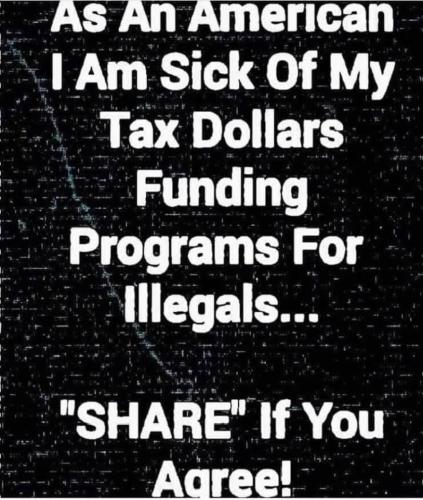 Illegals 1