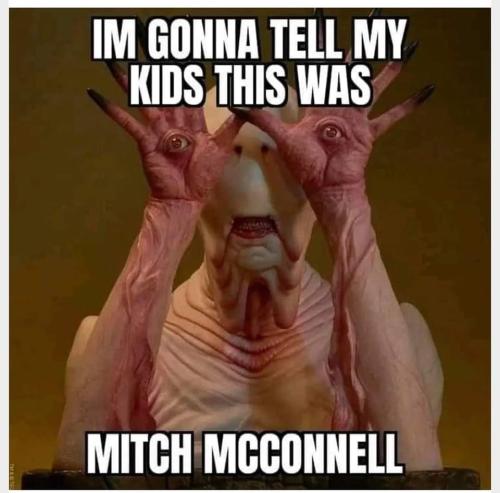 McConnell 1