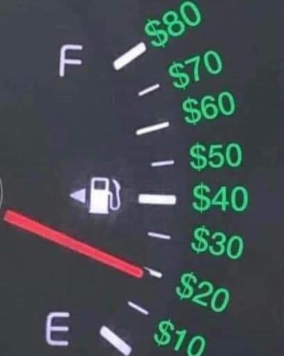 FB_IMG_1655398721764