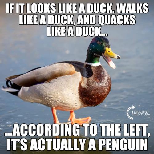 FB_IMG_1655224462069