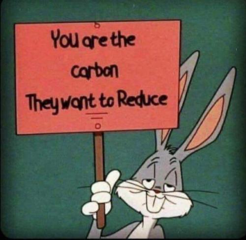 You Are the Carbon They Want To Reduce