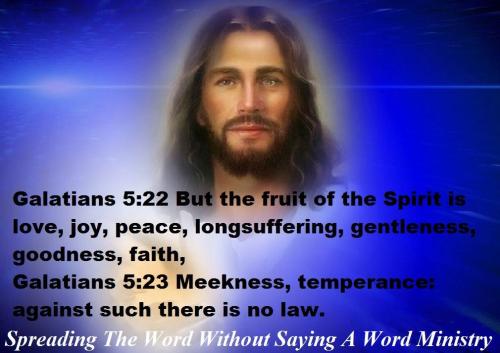 12671775_1023610081054456_8977451387310580503_o