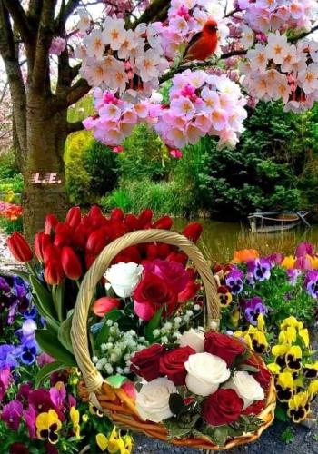 20:52:02 GMT-0500 (CDT)