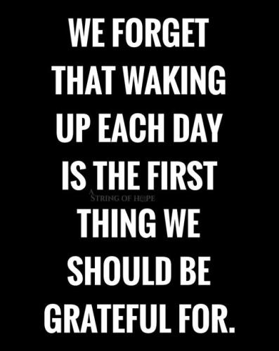 288445701_417479687072460_7050997136424896163_n