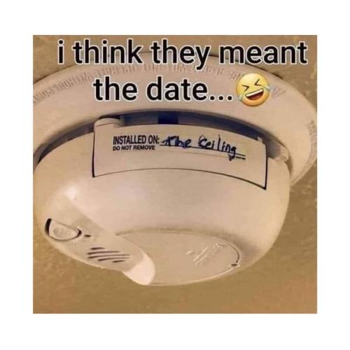 FB_IMG_1656000056312