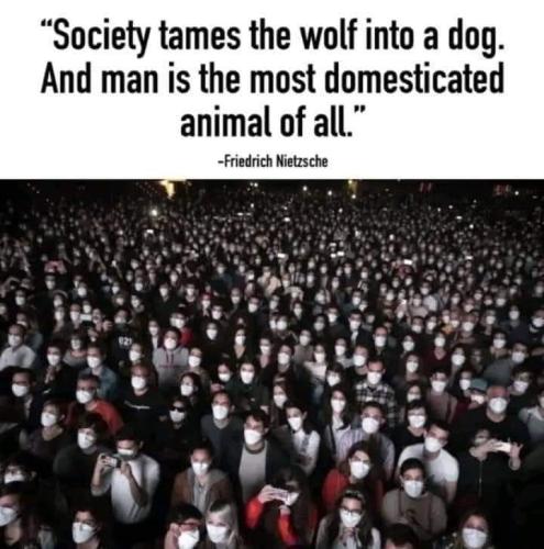 Society 2