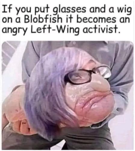 10:16:46 GMT-0400 (EDT)