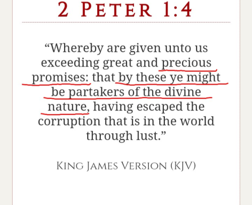 Screenshot_20220605-123604-084