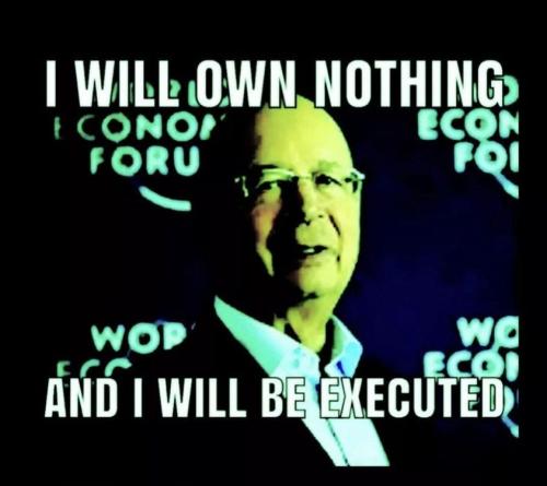 289964139_438516091427451_2551949546513299890_n