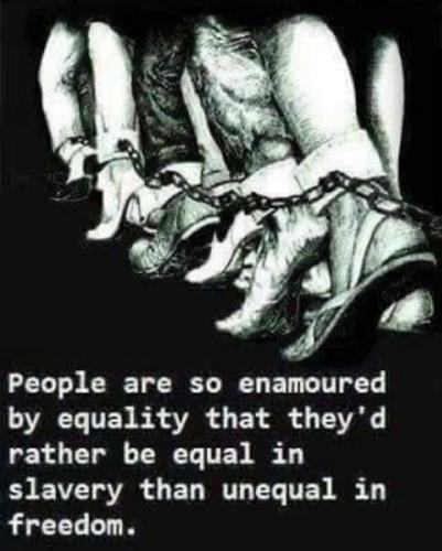 tumblr_ee30e65917acb83a386d538bdee862bf_169e94cf_640