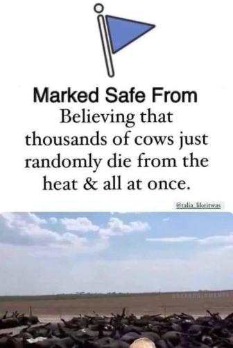 photo_2022-06-21_00-29-10