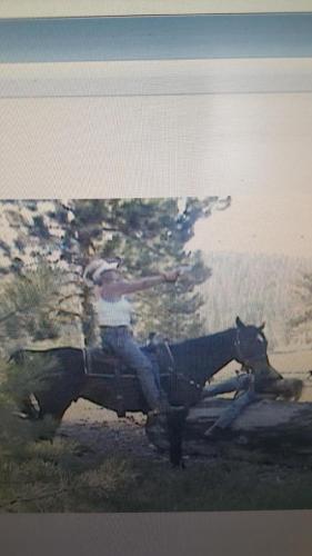 13838537-3691-4b2b-baad-b9e9988c30d3