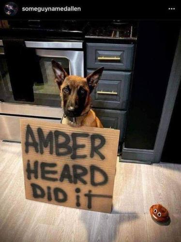 FB_IMG_1654198352481