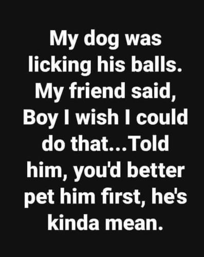 FB_IMG_1655225339845