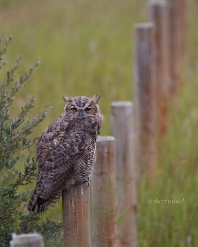 tumblr_84468b491036d8404727427cc276cbc2_d0e5c719_540