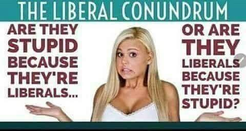 lib conundrum