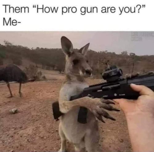 FB_IMG_1655214061066