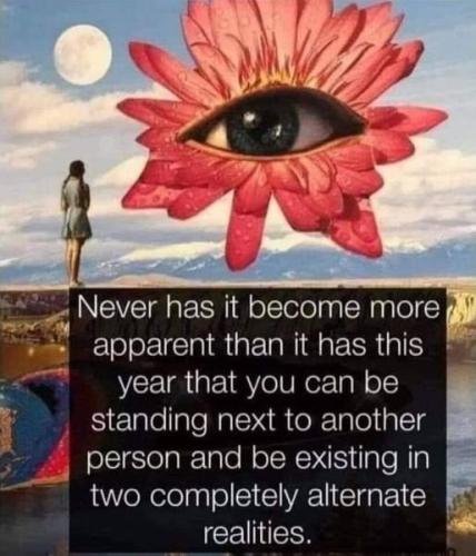 tumblr_5bc13c621ee2dcc2caef4d1f82cedbe1_2a9ec3ac_540