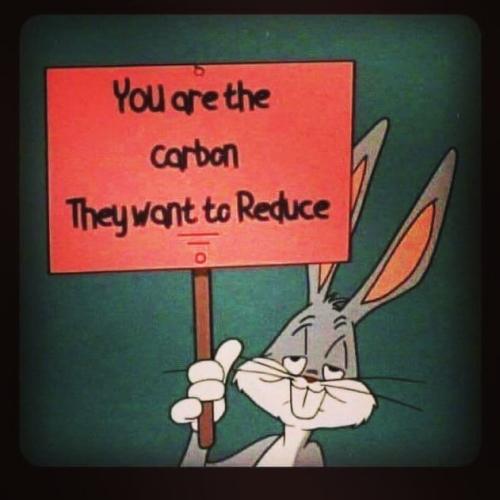 252114911_4539185819450121_2173925870370216462_n