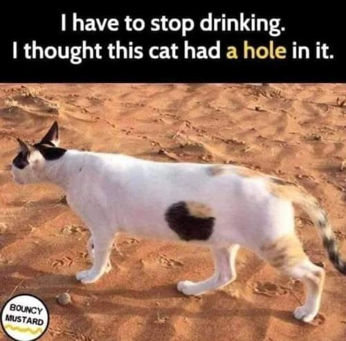 FB_IMG_1654870790301