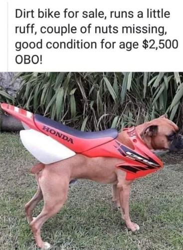 FB_IMG_1656517174511