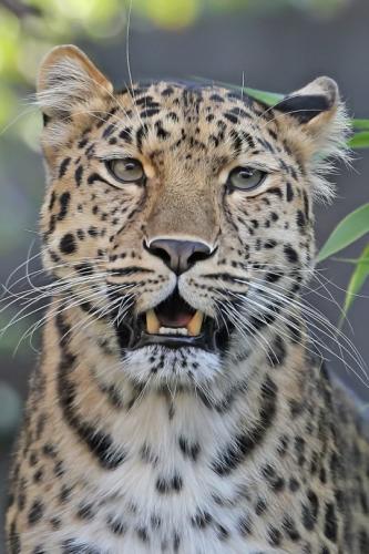 tumblr_mj68b2gOiL1rfch8xo1_540