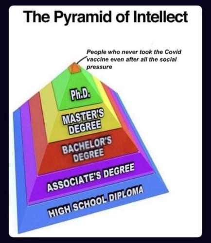 FB_IMG_1655373662495